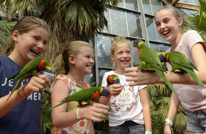 Vogelpark Avifauna